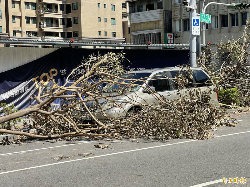 去年9月海葵台风来袭，高雄市有600多棵树倒塌，也有不少车辆被倒塌树木压损；佛卫电视台车辆被倒树压坏，提告市府请求国赔。示意图，此案非当事车辆。（资料照）