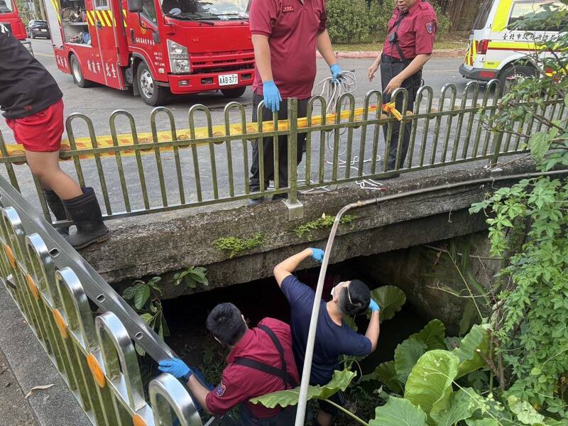 消防人员赶抵现场后，随即爬下水沟将女性死者打捞上岸。（记者陆运锋翻摄）