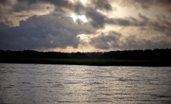 Gangway collapses in US state of Georgia, killing ferry travellers amid cultural festival on Sapelo Island