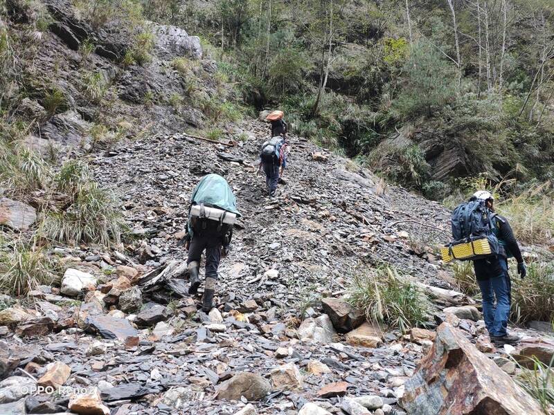 山友独攀大鹿林道西线迷途受伤，空勤总队救下山。画面为地面搜救队入山搜索状况。（图由苗县府消防局提供）